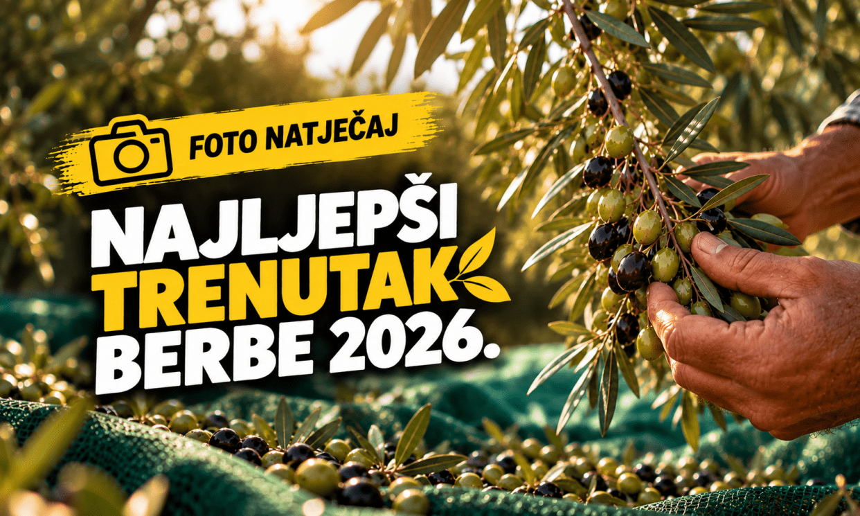 NAJLJEPŠI TRENUTAK BERBE 2026